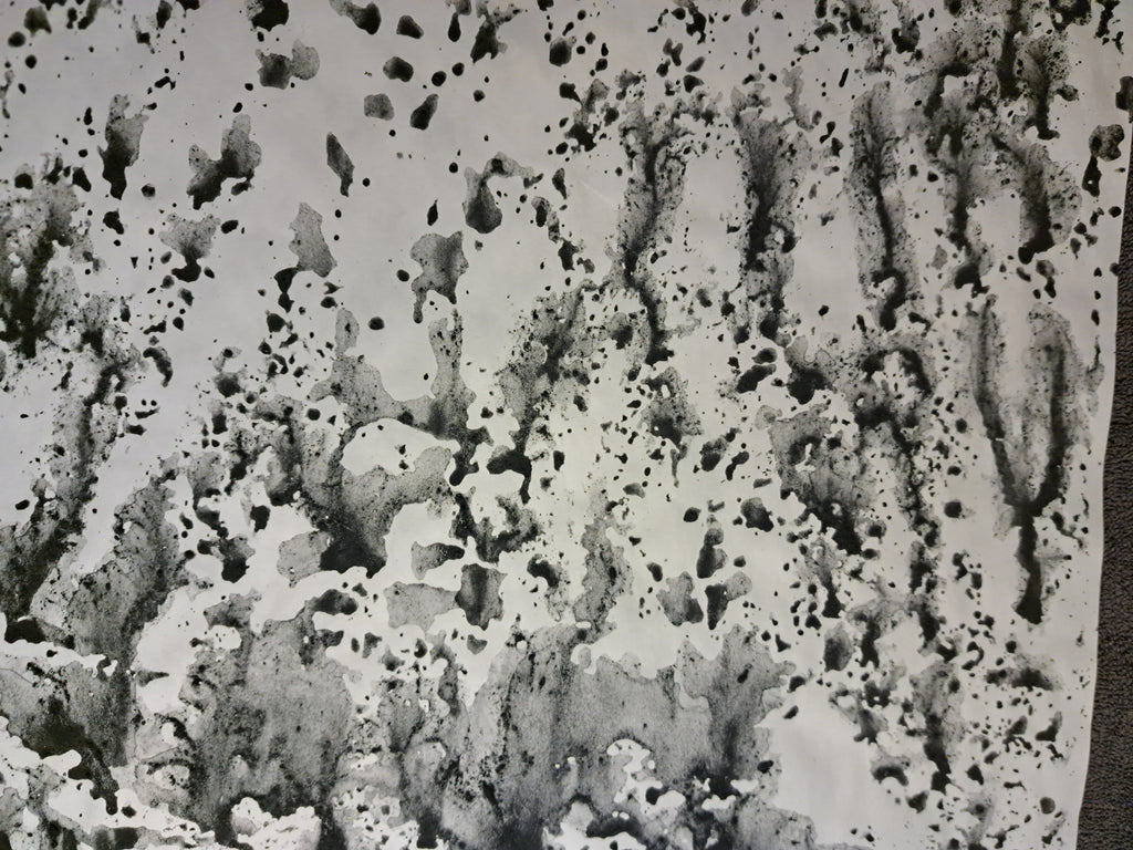 Nr. 6
