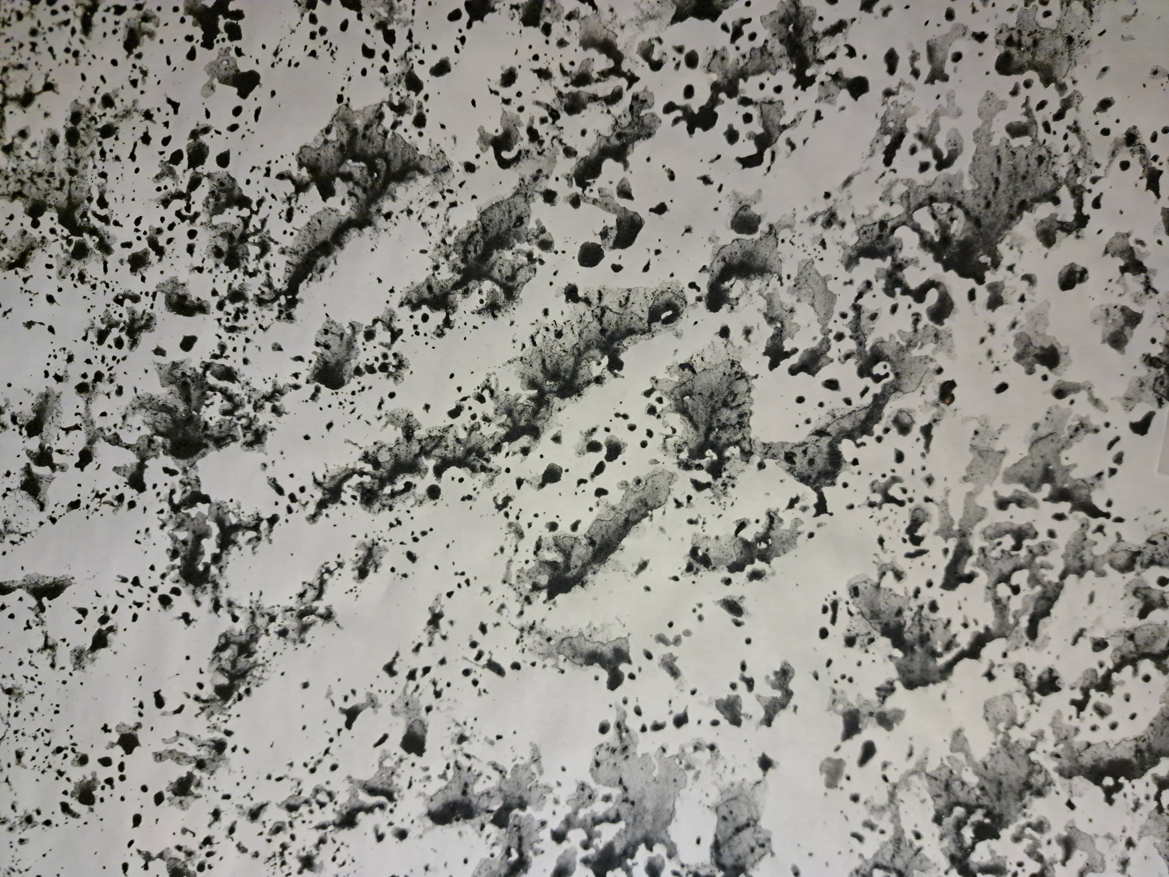 Nr. 6