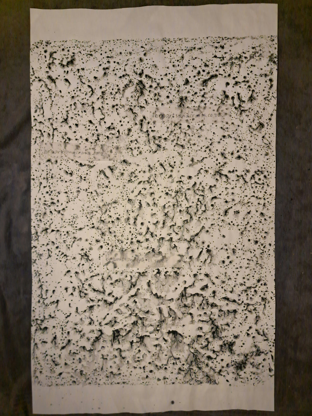 Nr. 10