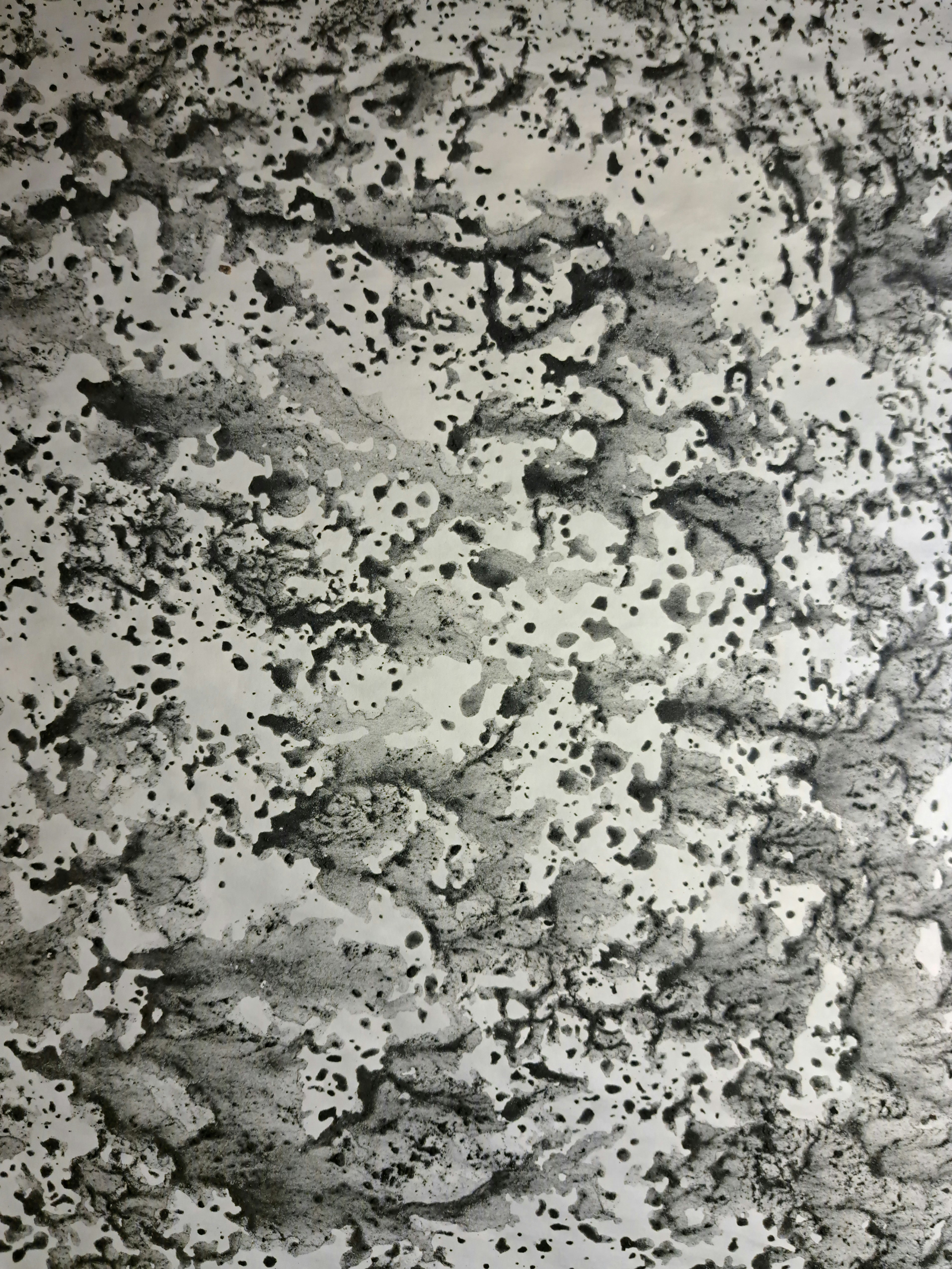 Nr. 12