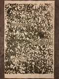 Nr. 19