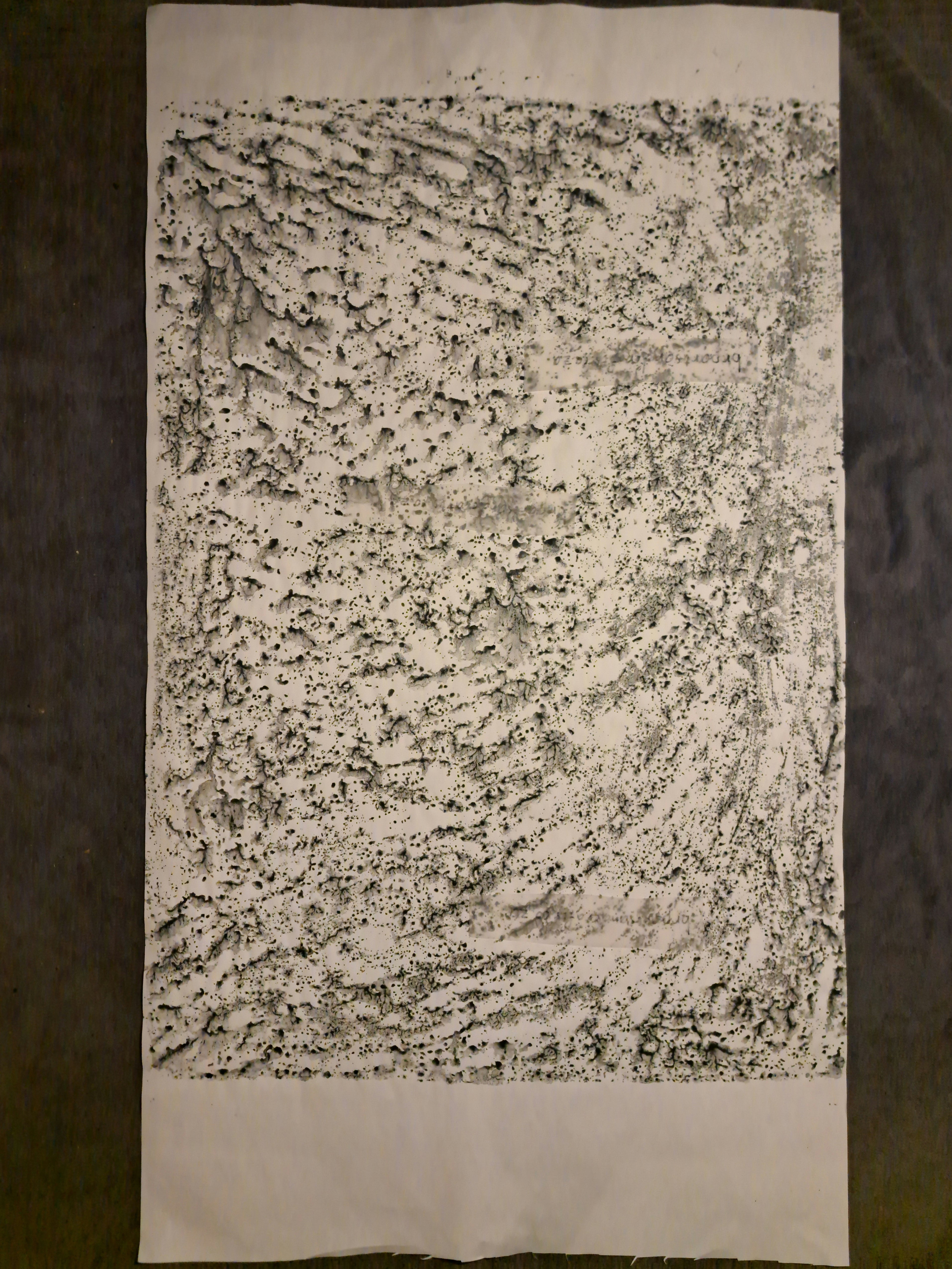 Nr. 22