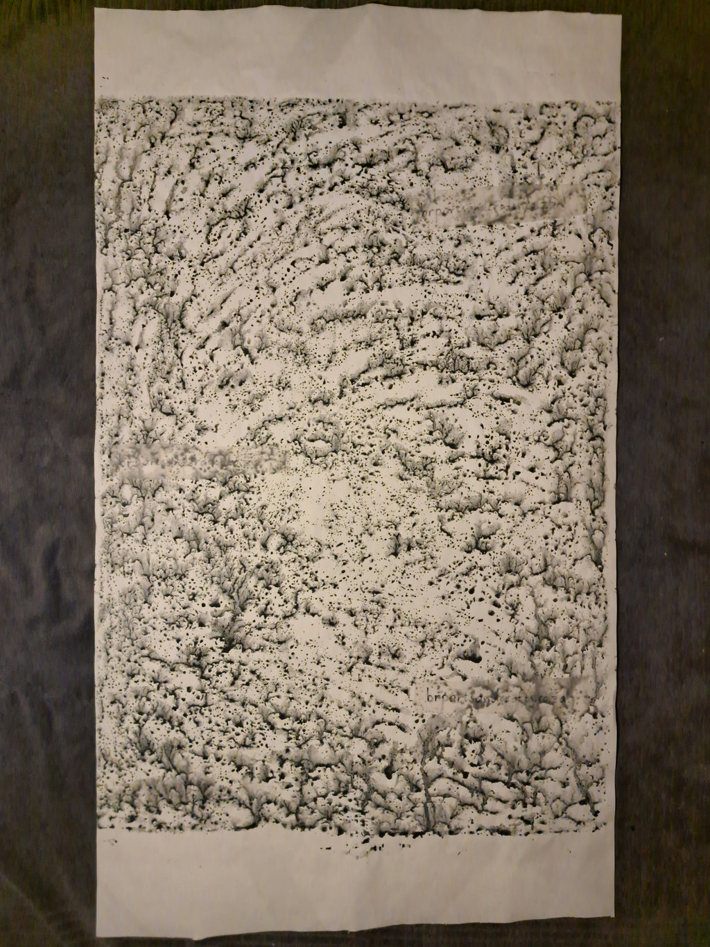 Nr. 23