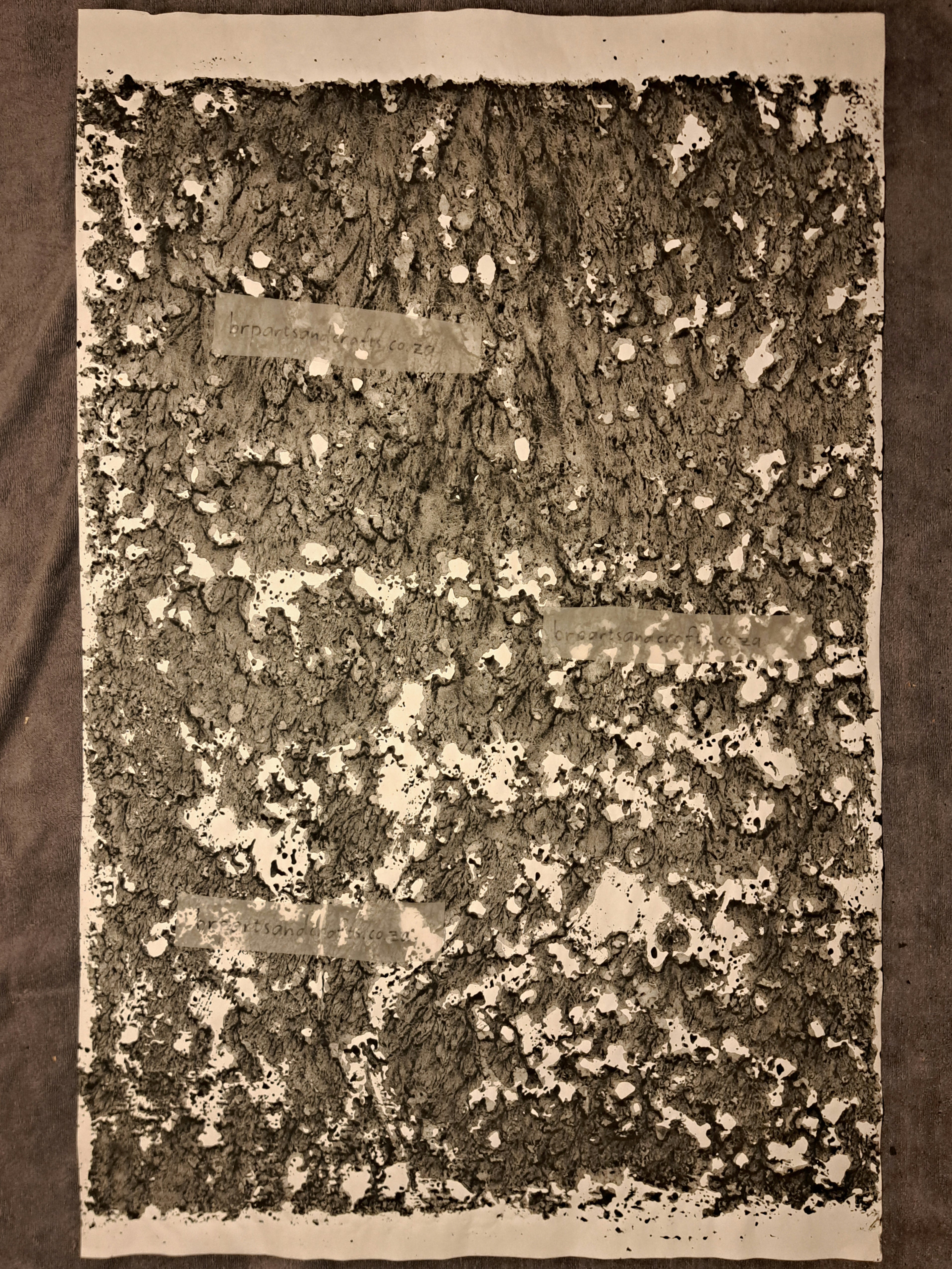Nr. 27