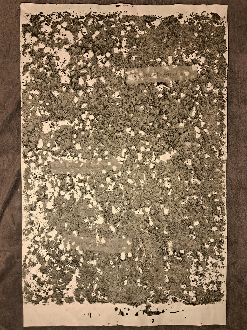 Nr. 29
