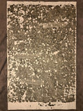 Nr. 29