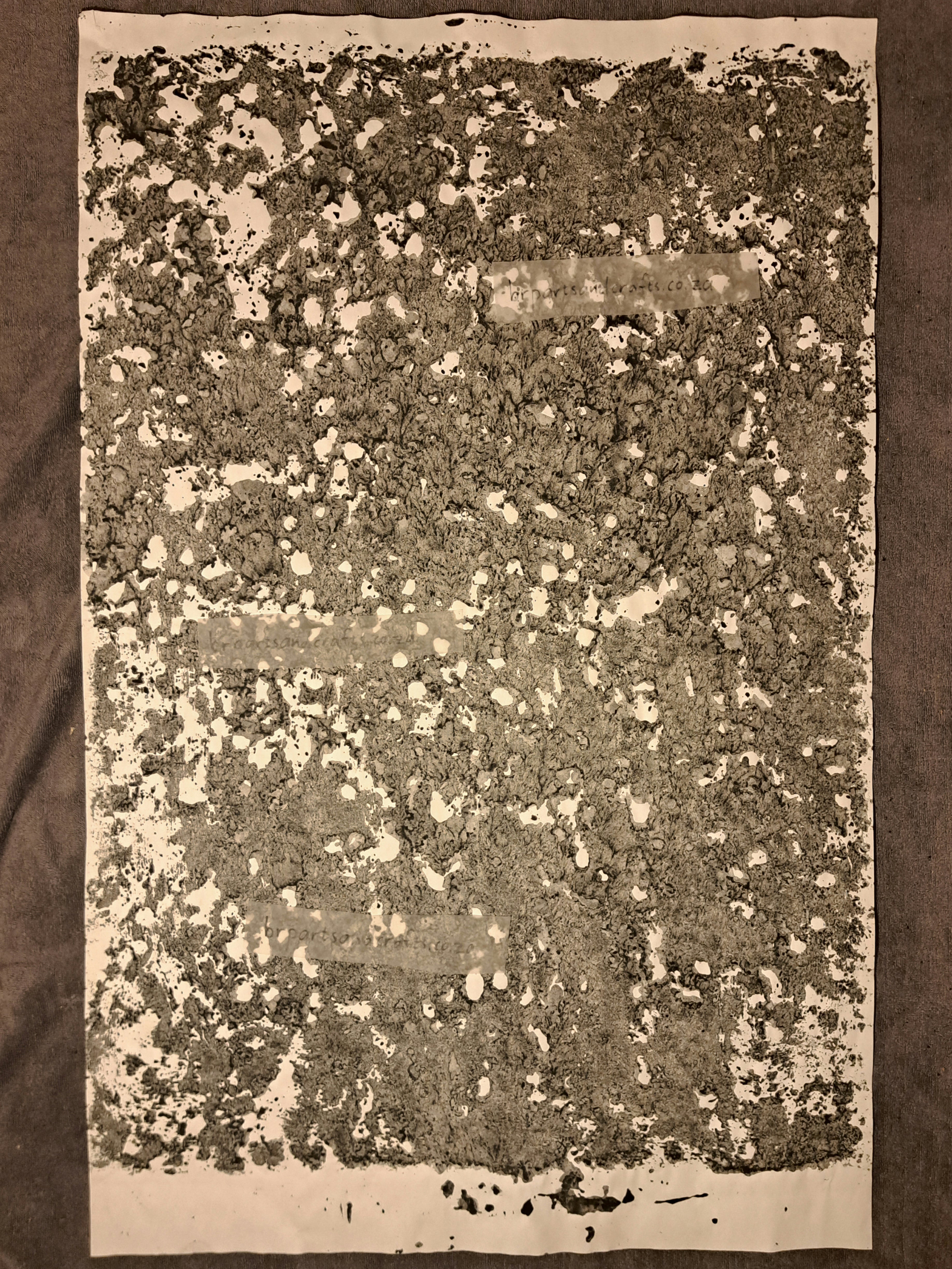 Nr. 29