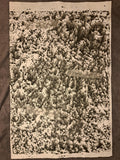 Nr. 30