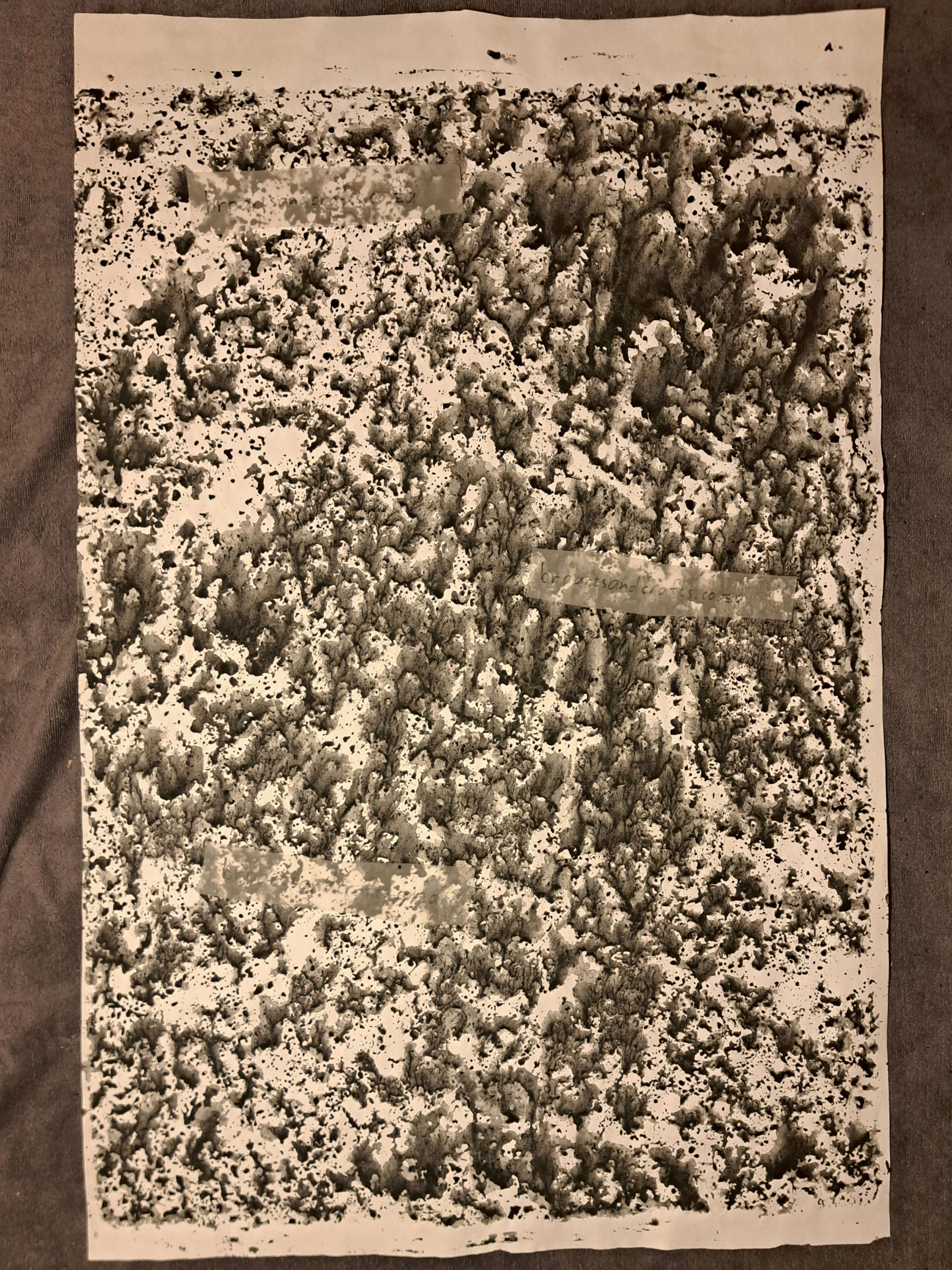 Nr. 30