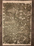 Nr. 31