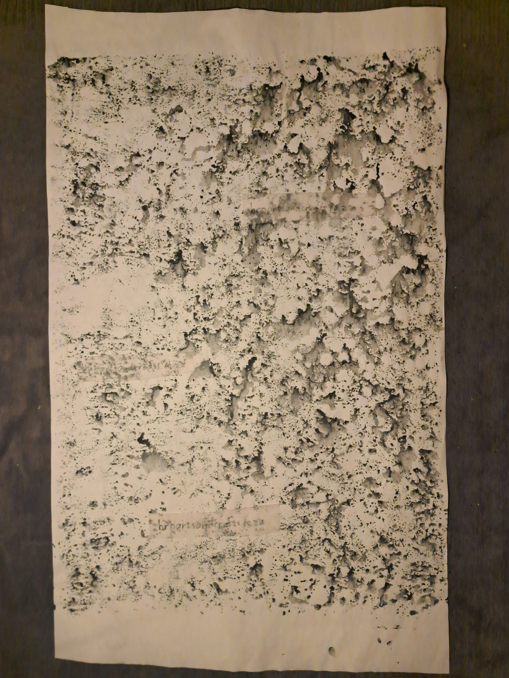 Nr. 39