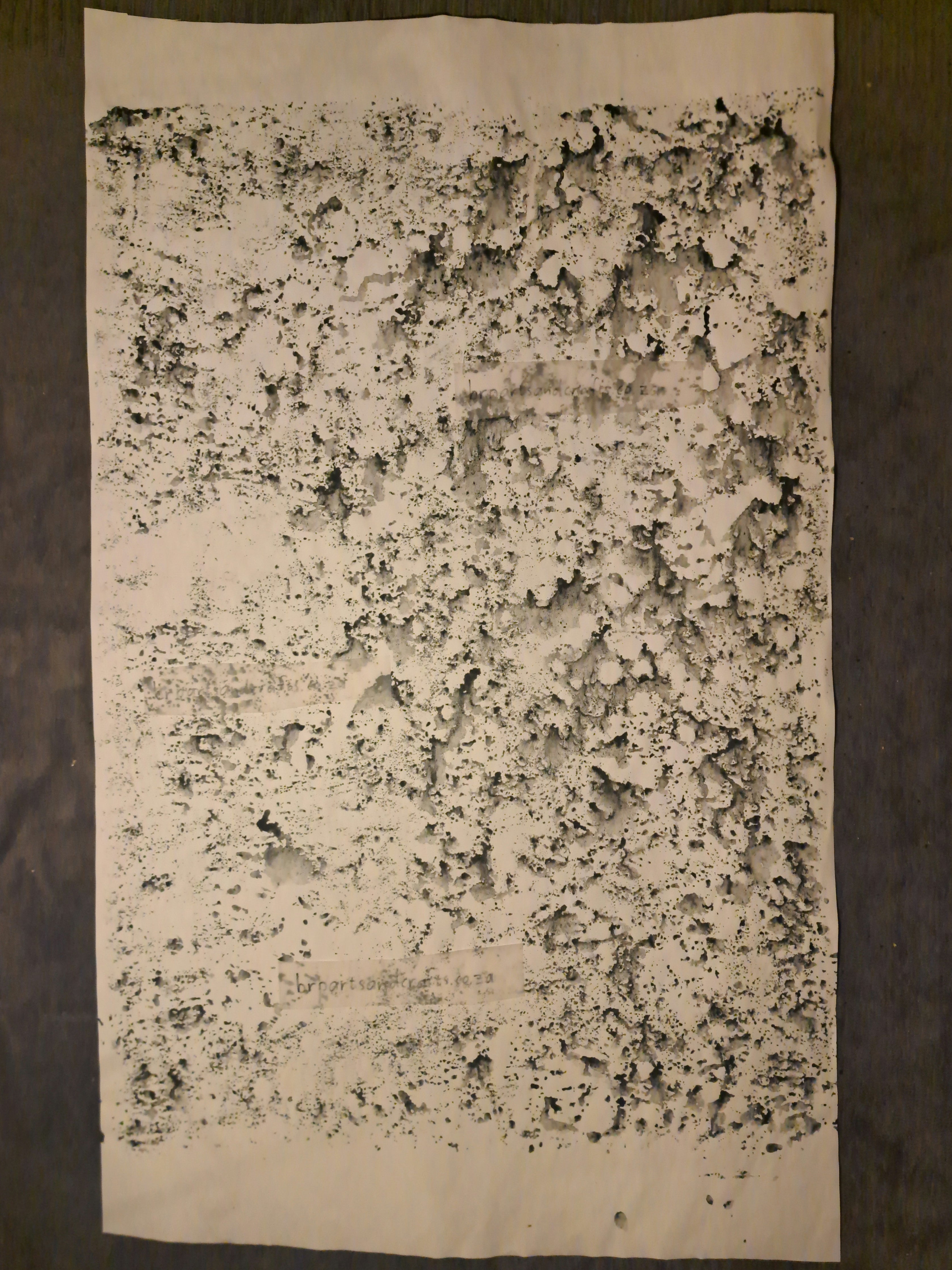 Nr. 39