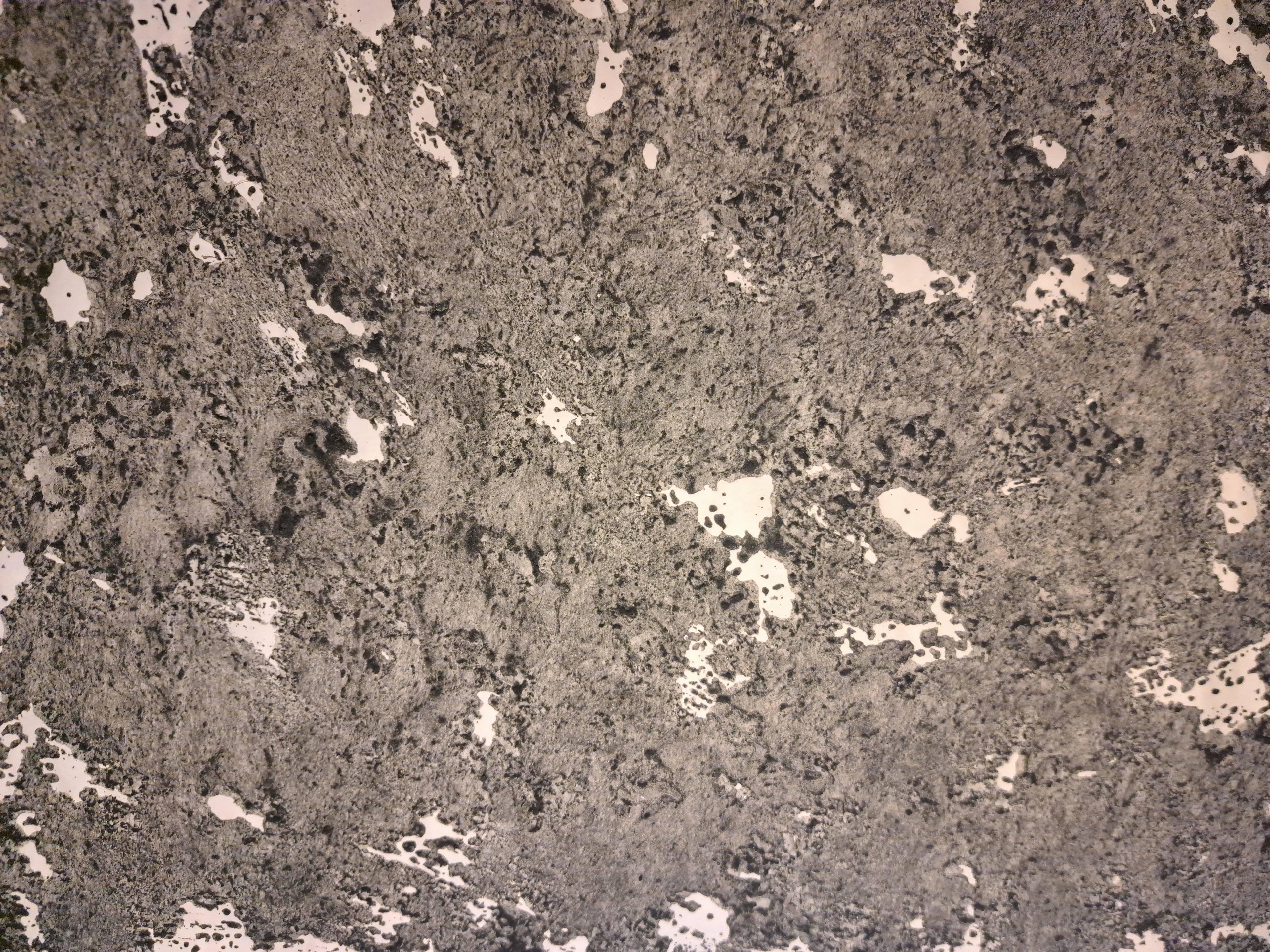 Nr. 42