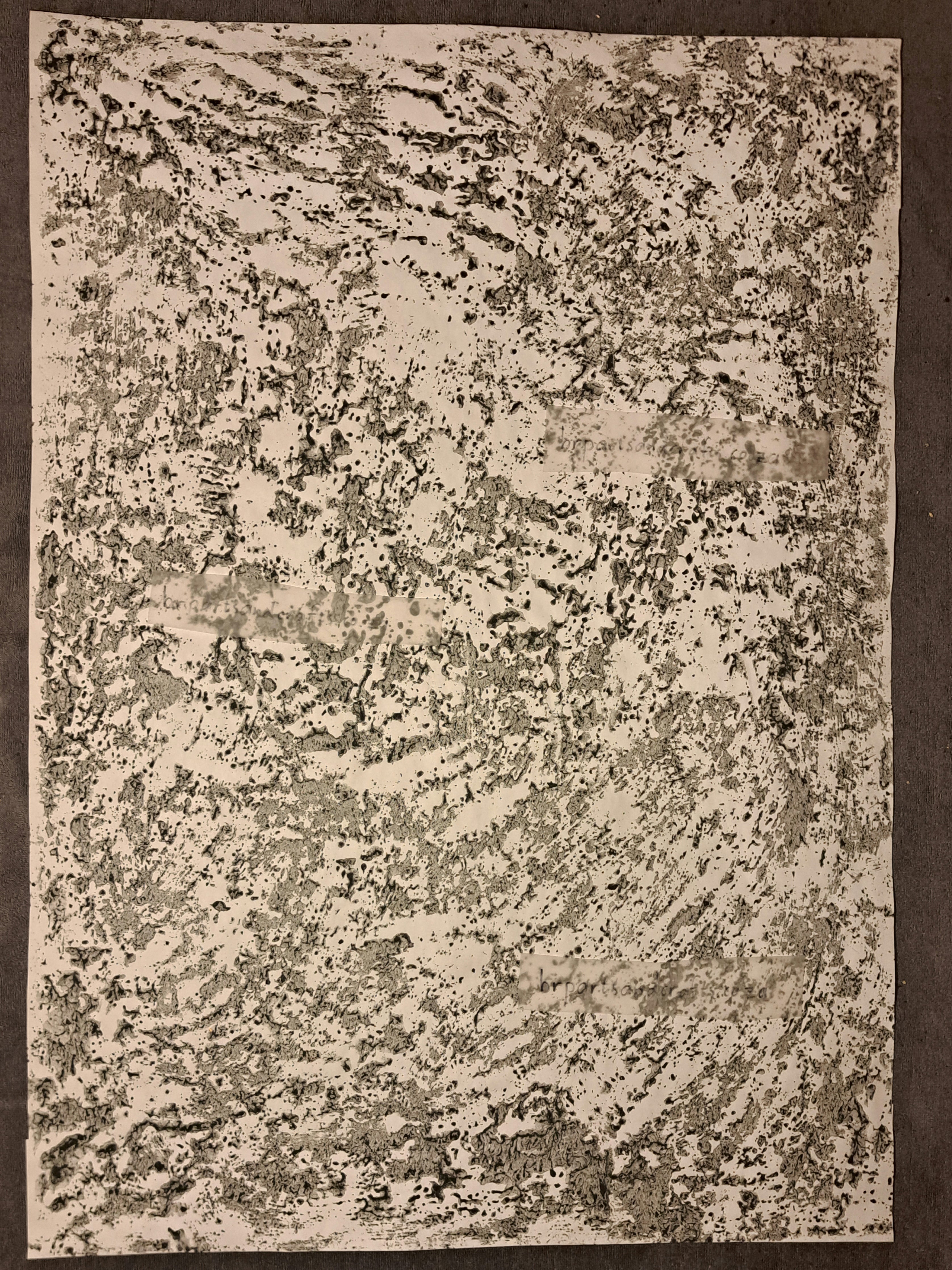 Nr. 45