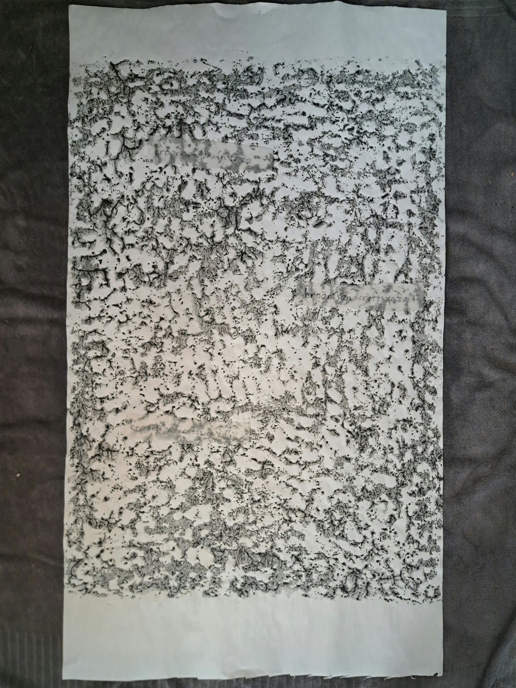 Nr.50