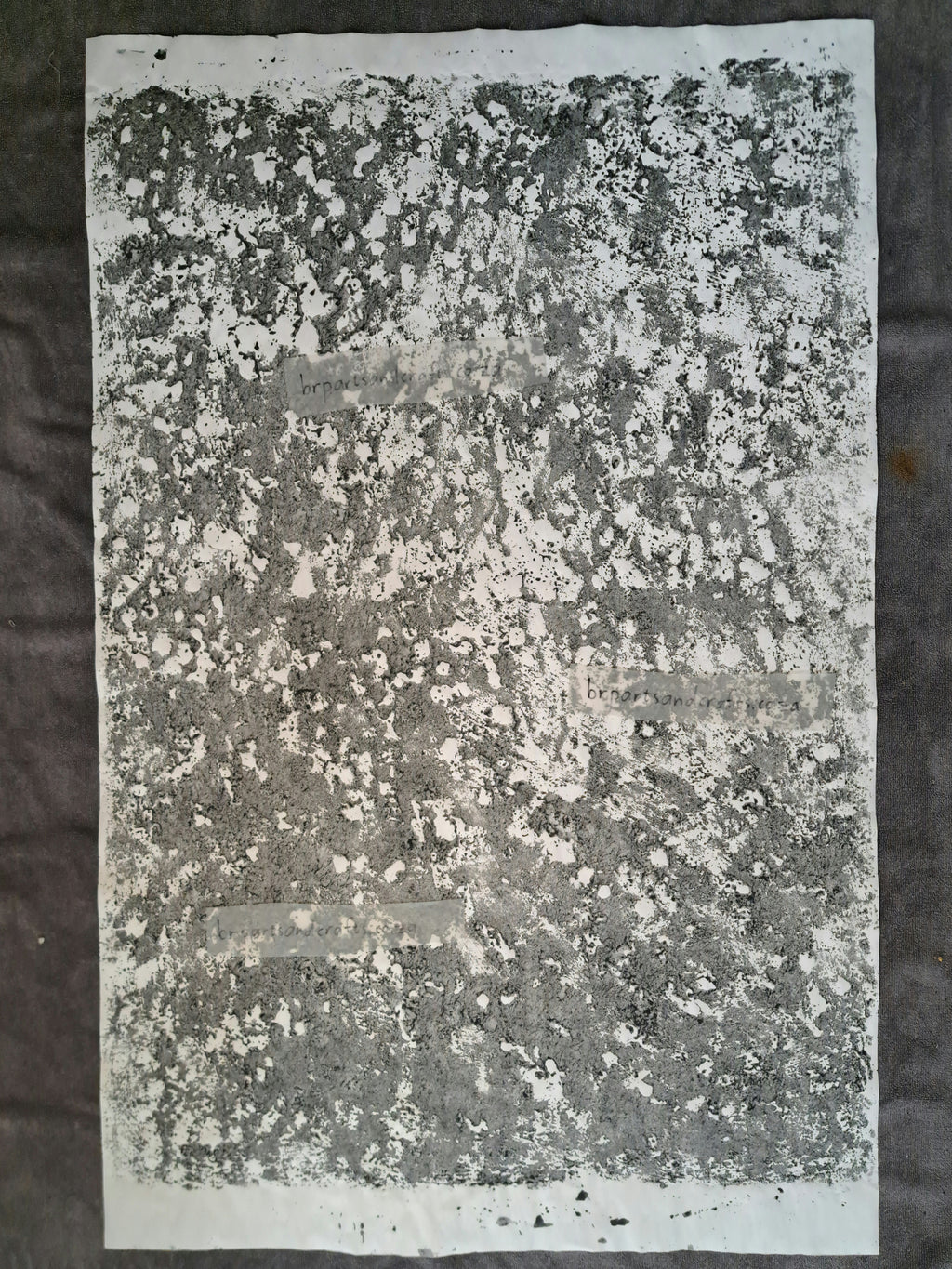 Nr. 51