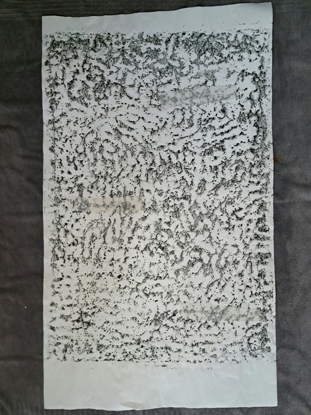 Nr. 52