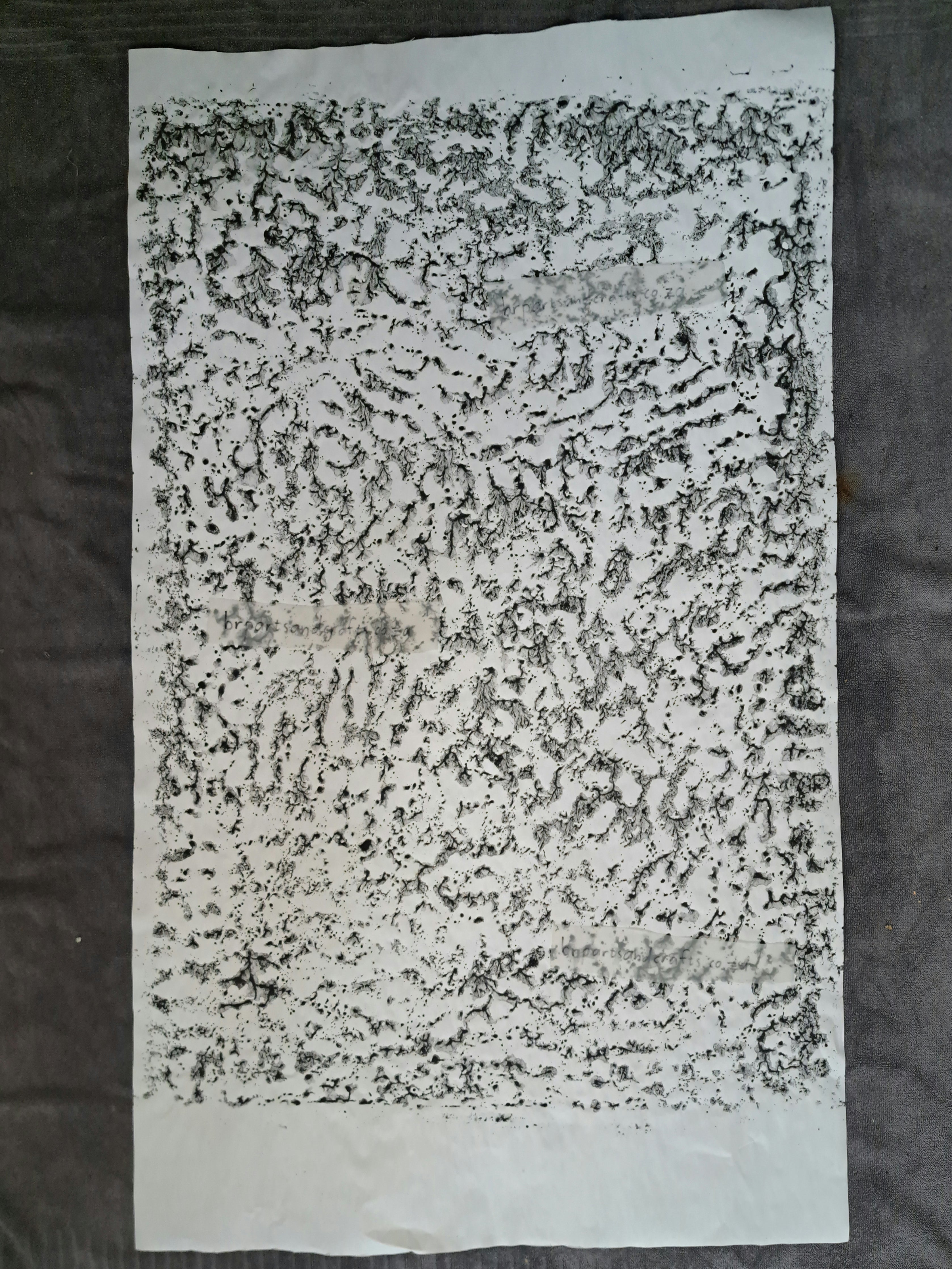Nr. 52
