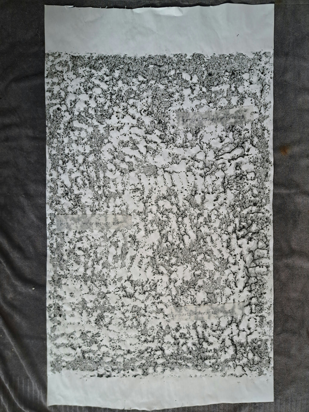 Nr. 53