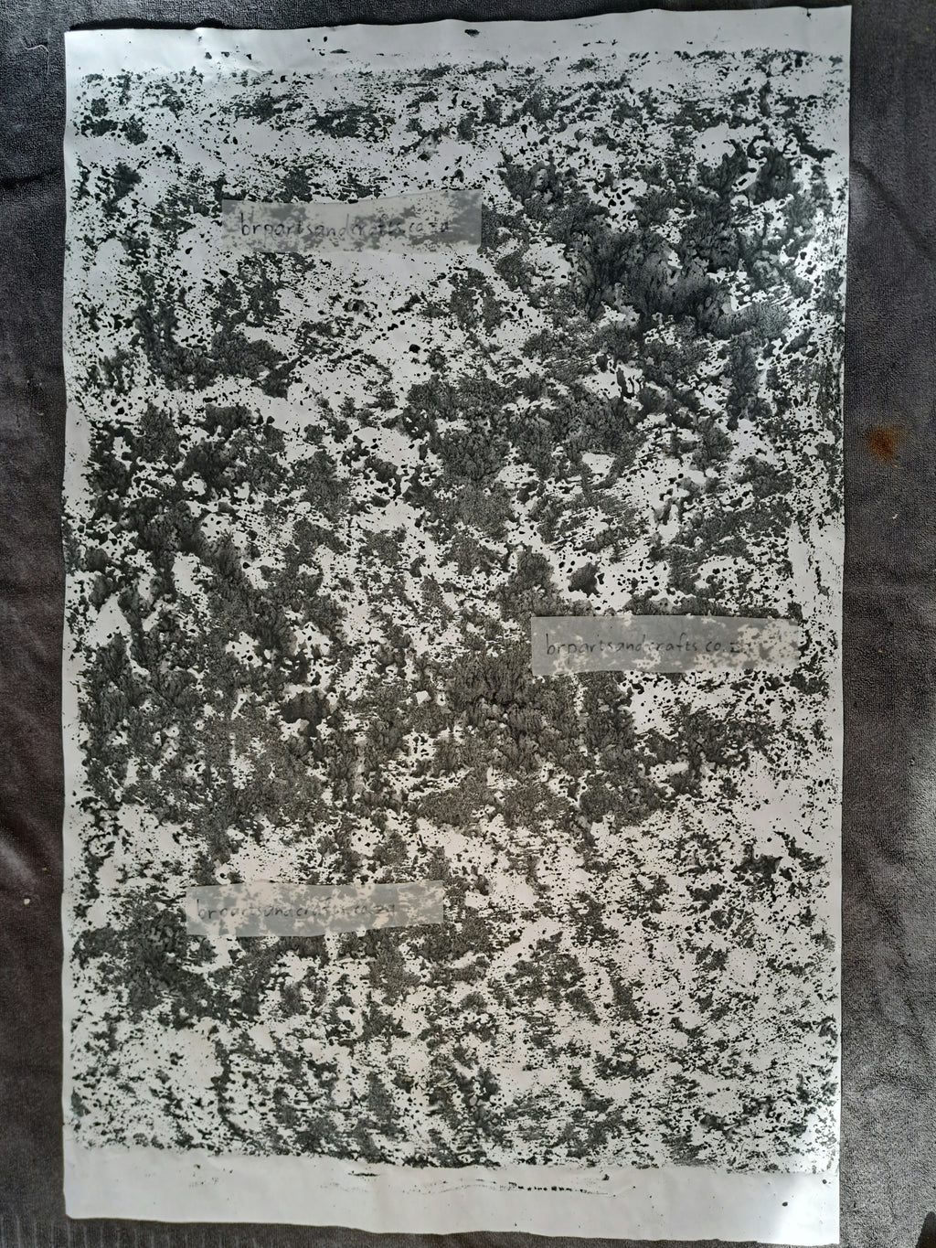 Nr. 56