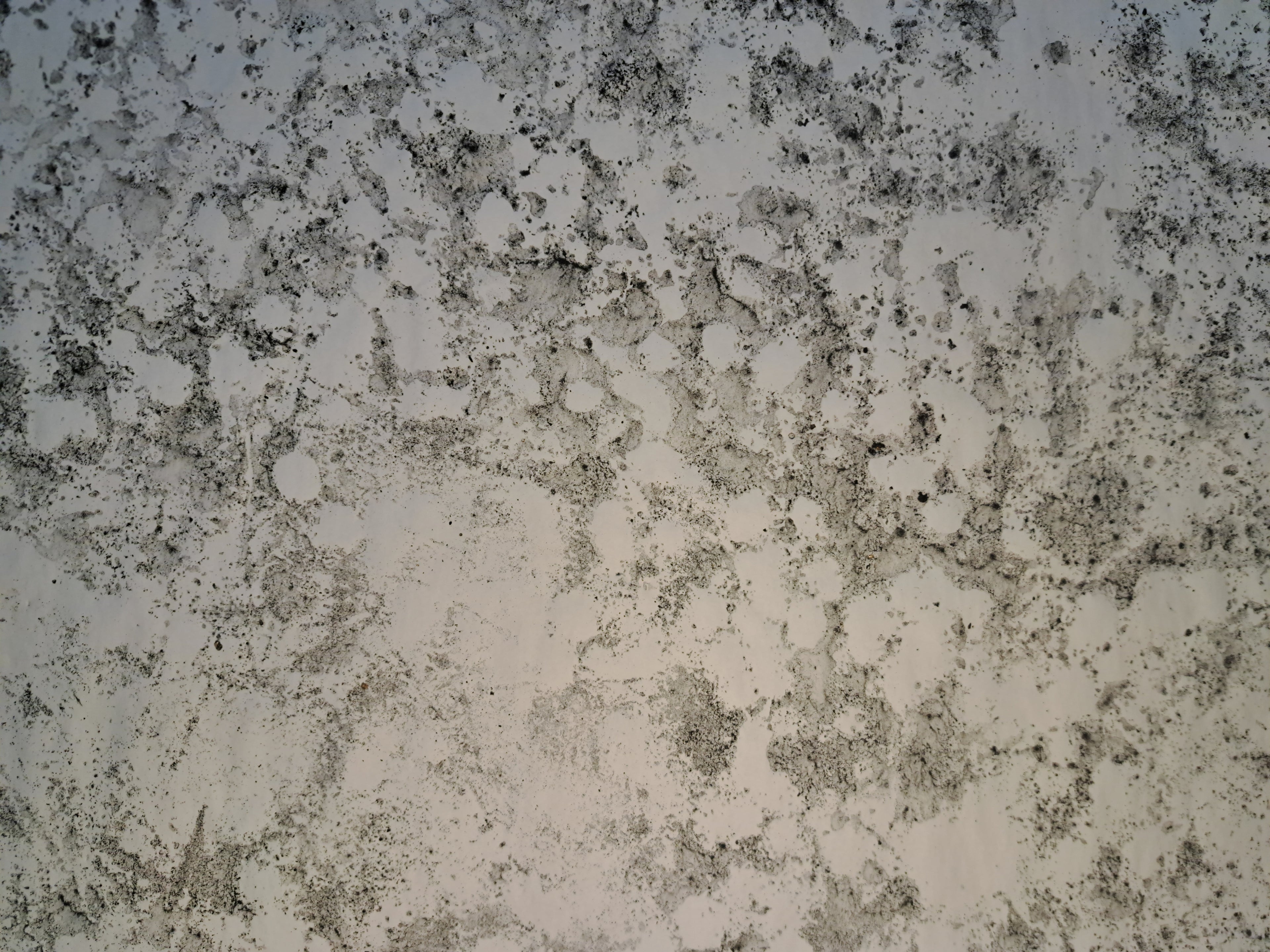 Nr. 57