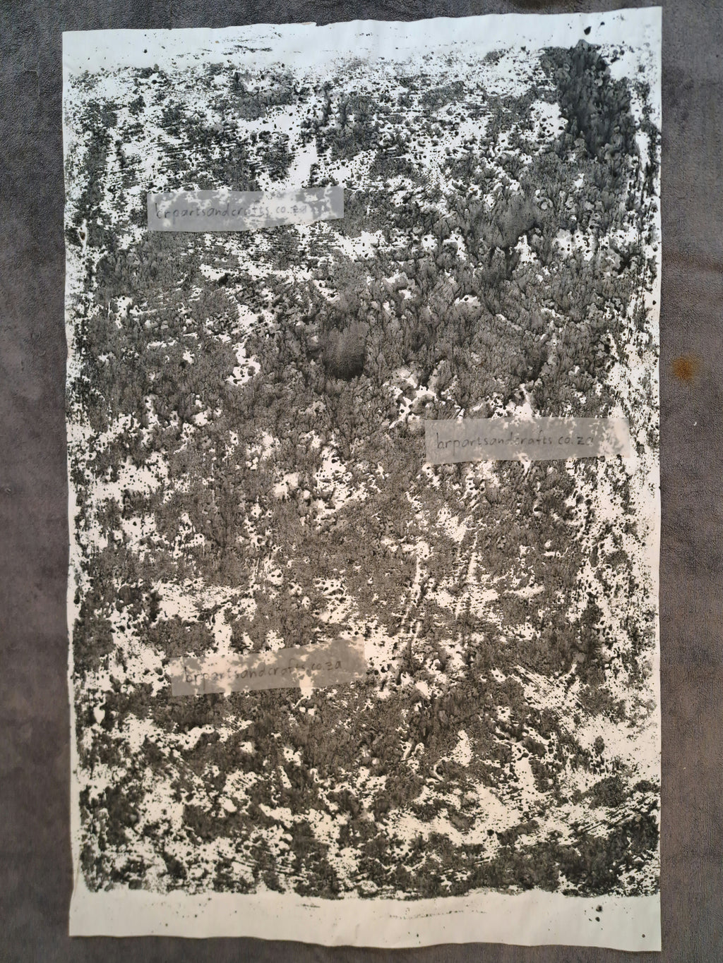 Nr. 58