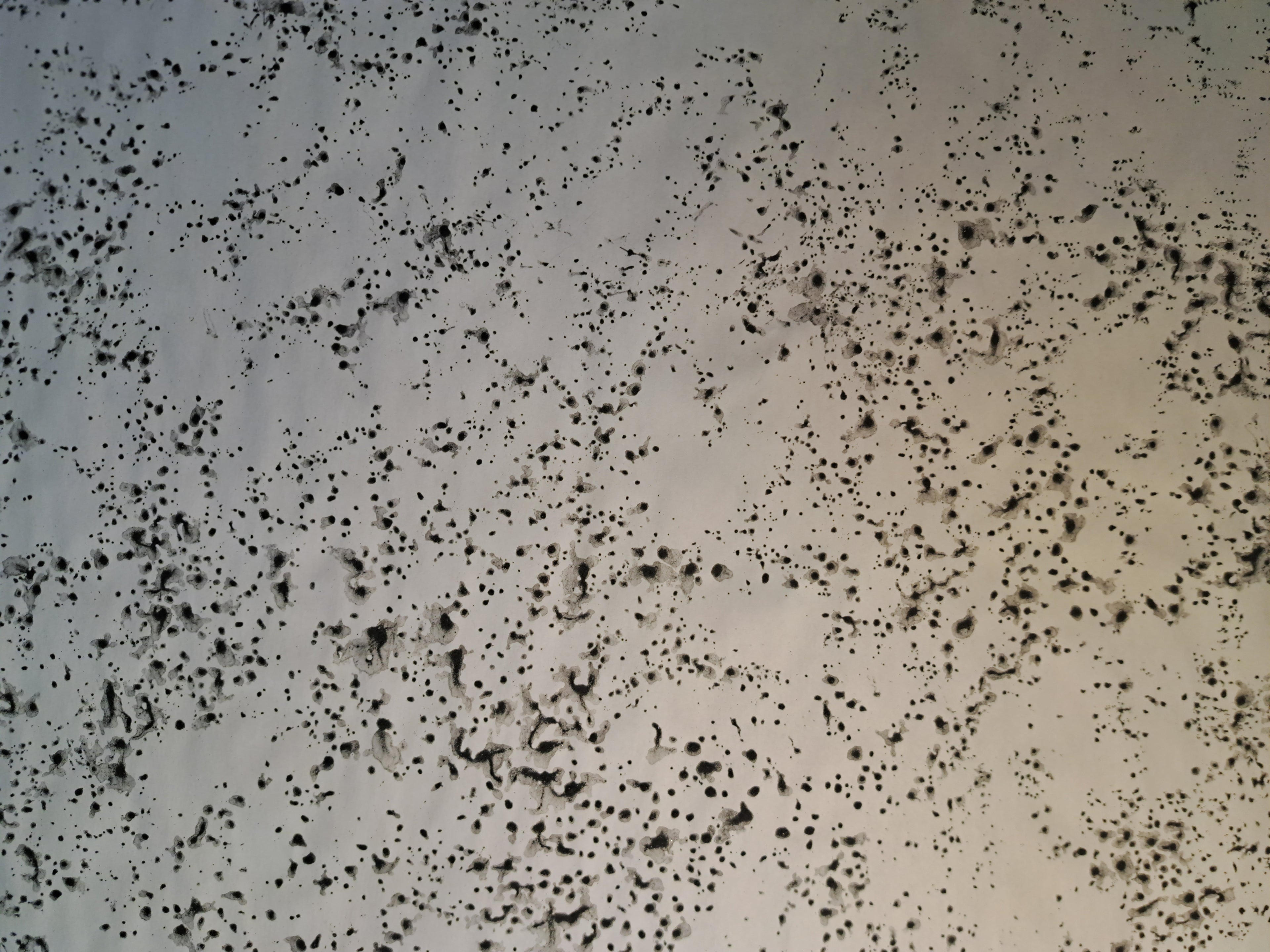 Nr. 60