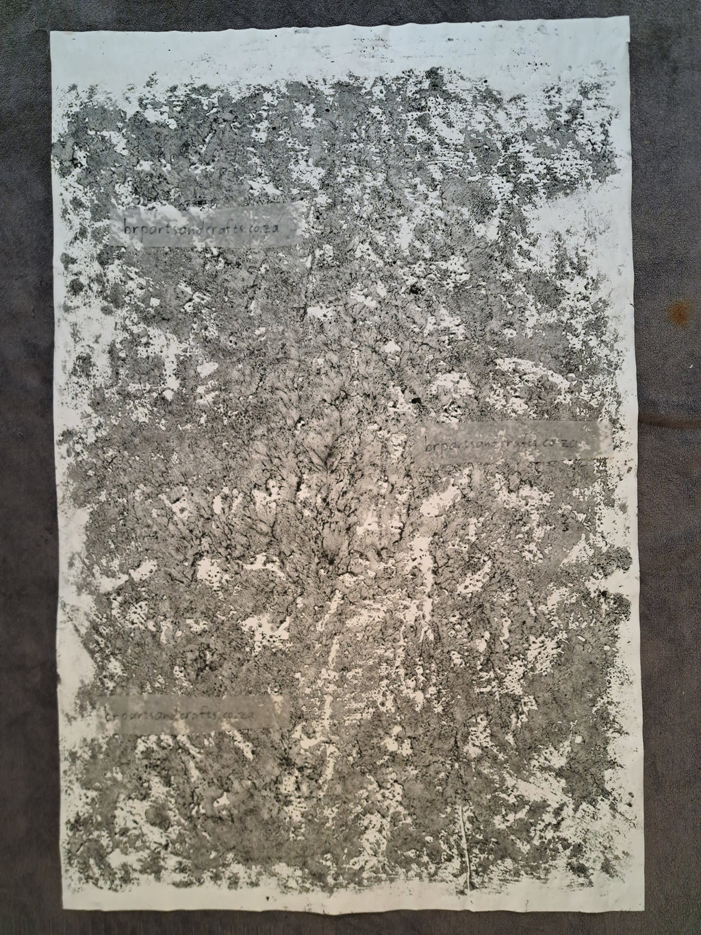 Nr. 61