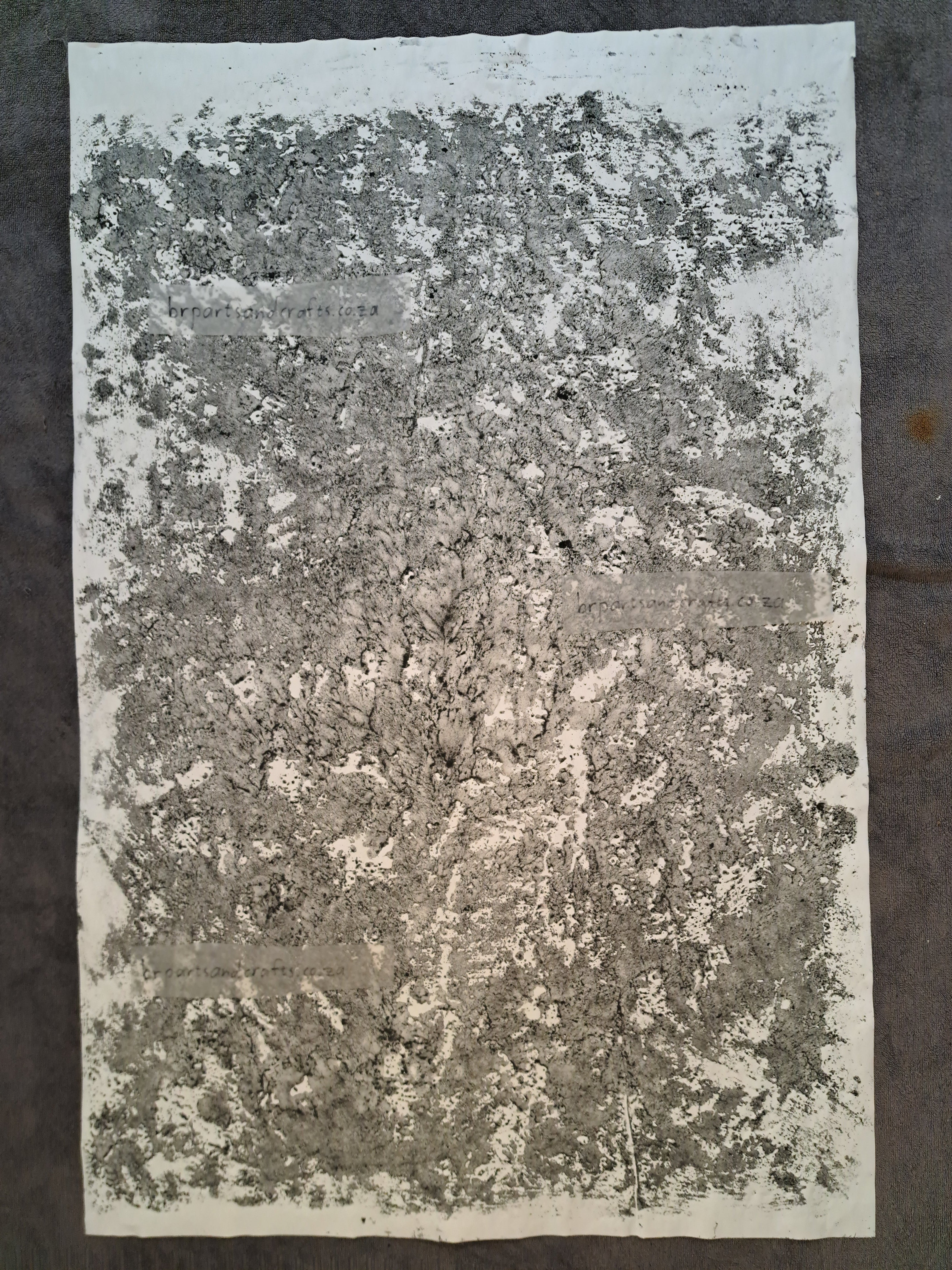 Nr. 61