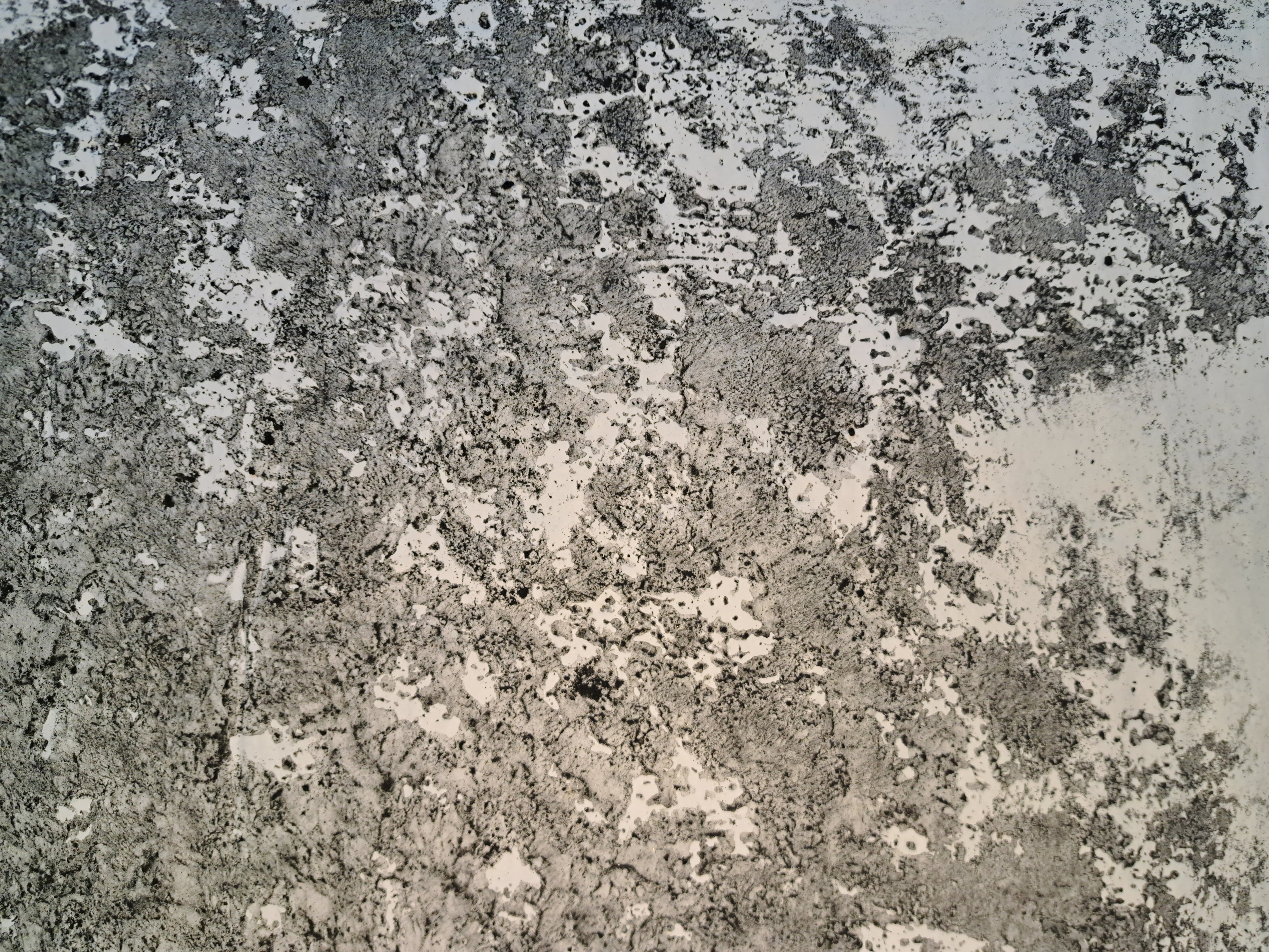 Nr. 61