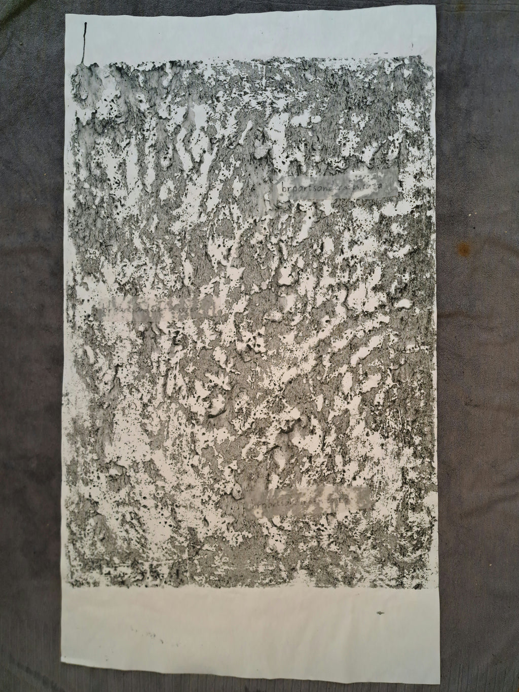 Nr. 71
