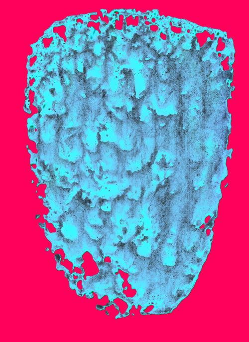 DIGITAL IMAGE Contact for files. Please send me your email for the images.
