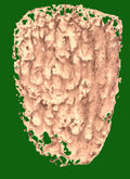 Vase Digital 3