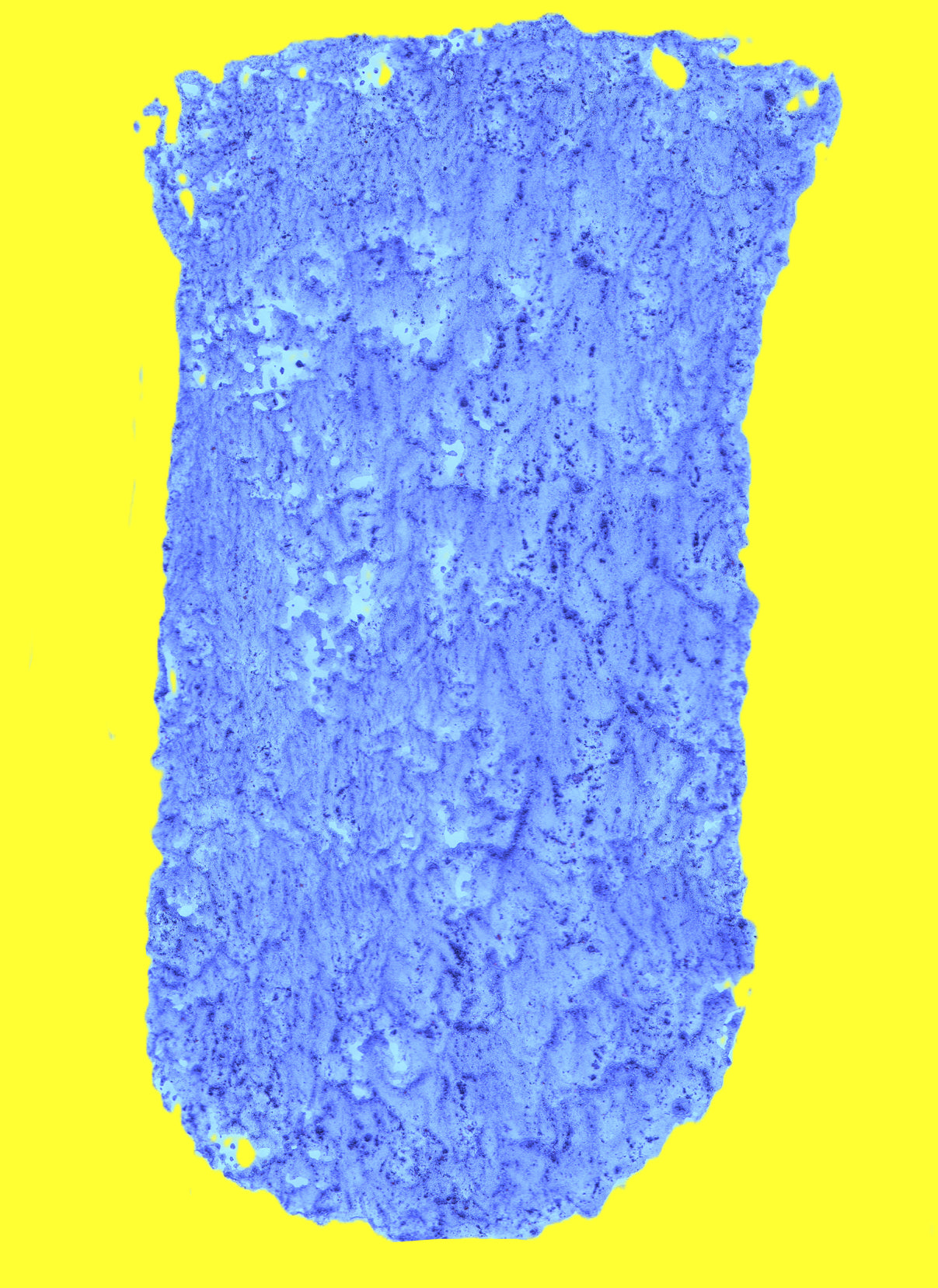 Vases Digital 2