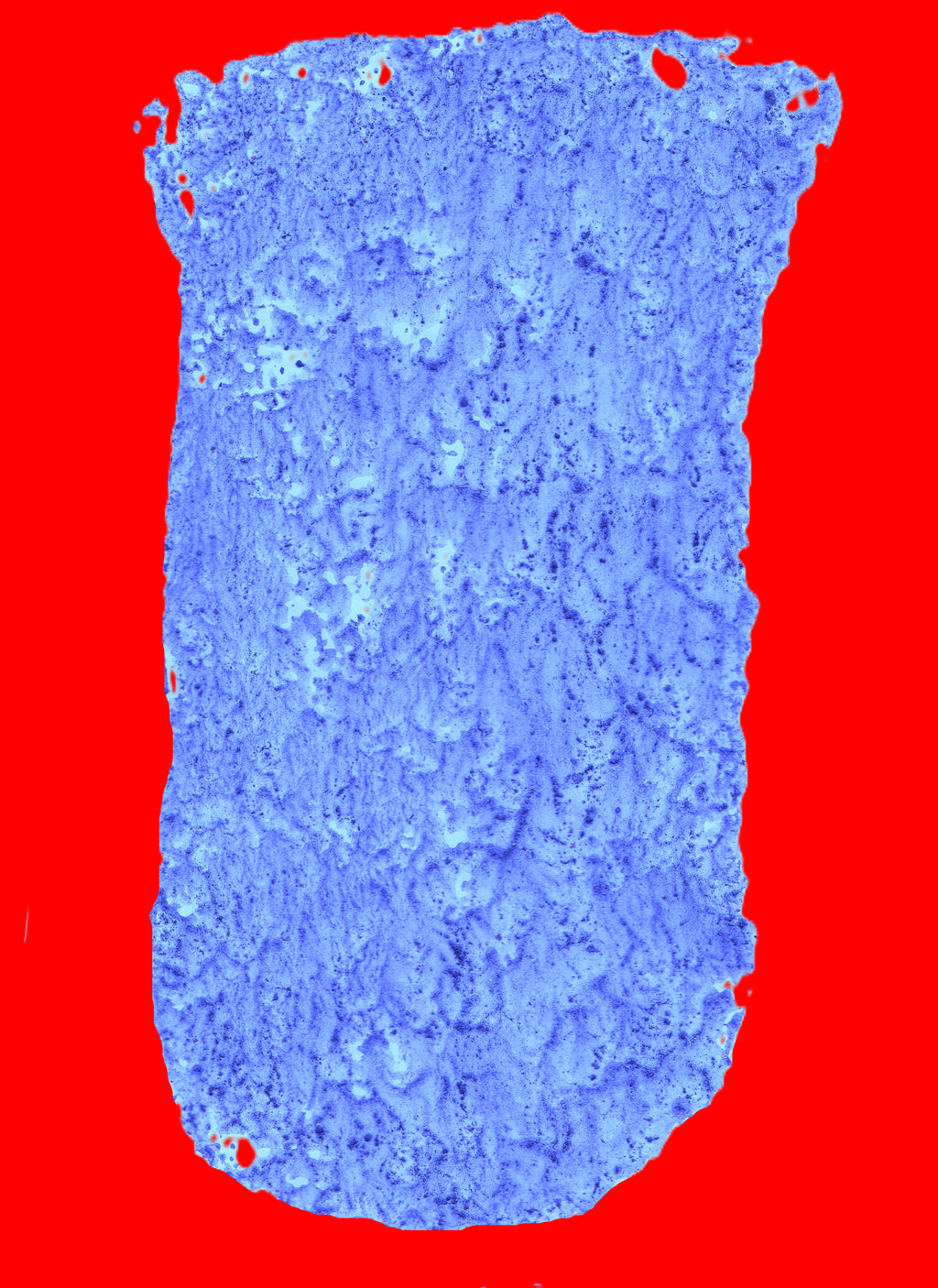 Vases Digital 2