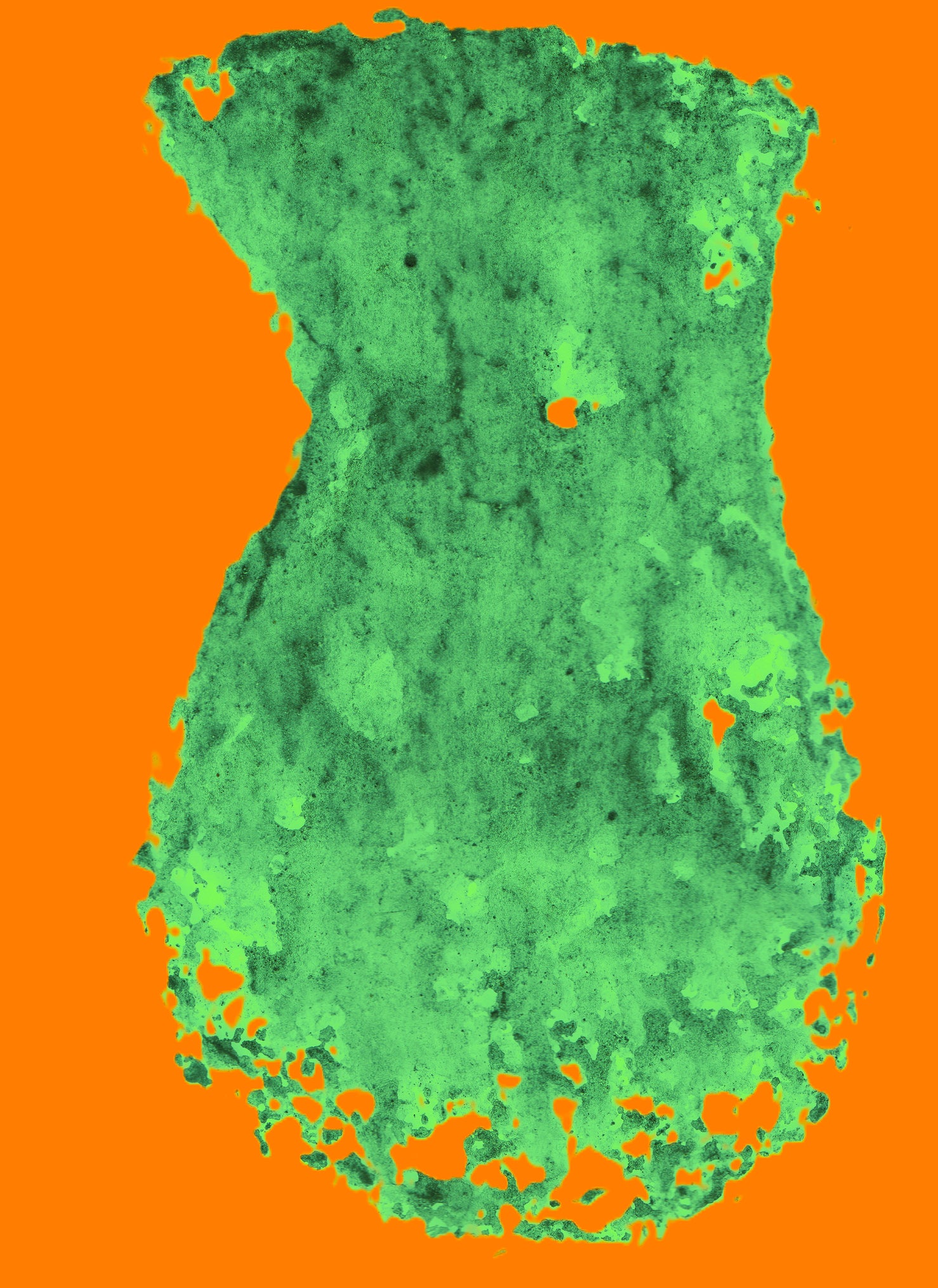 DIGITAL IMAGE Contact for files. Please send me your email for the images.