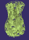 DIGITAL IMAGE Contact for files. Please send me your email for the images.