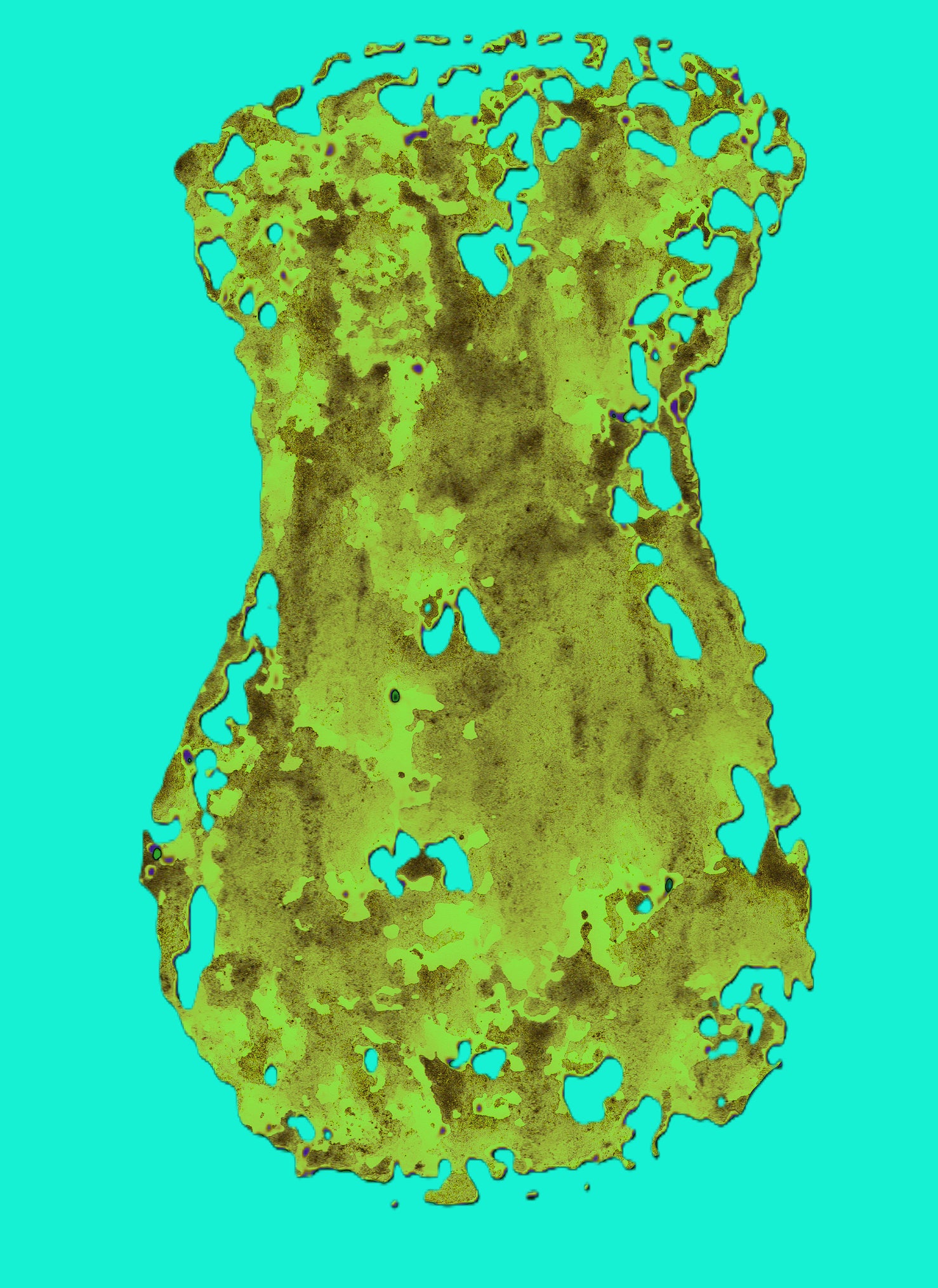 DIGITAL IMAGE Contact for files. Please send me your email for the images.