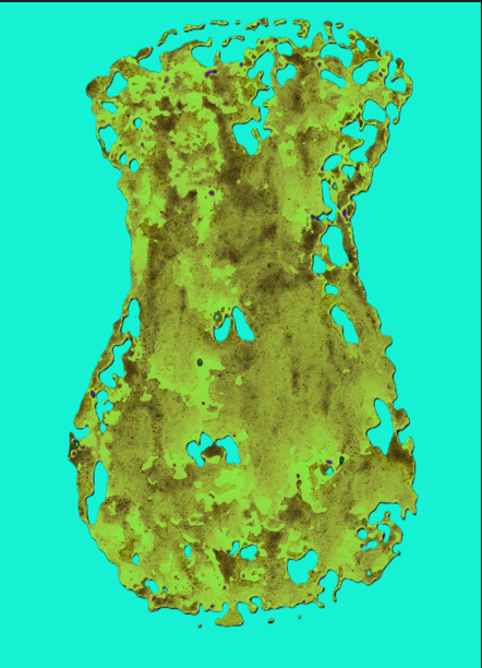 Digital Vases 1