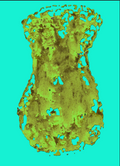 Digital Vases 1