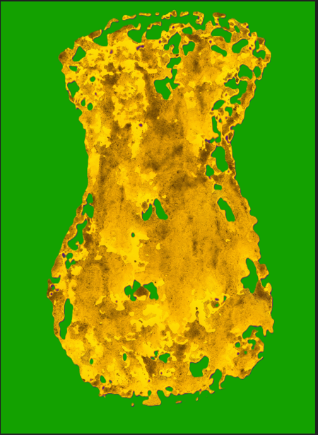 Digital Vases 1