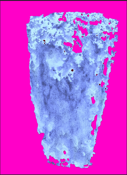 Digital Vases 1