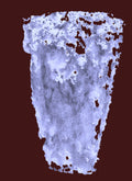 DIGITAL IMAGE Contact for files. Please send me your email for the images.