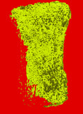 Vases Digital 2