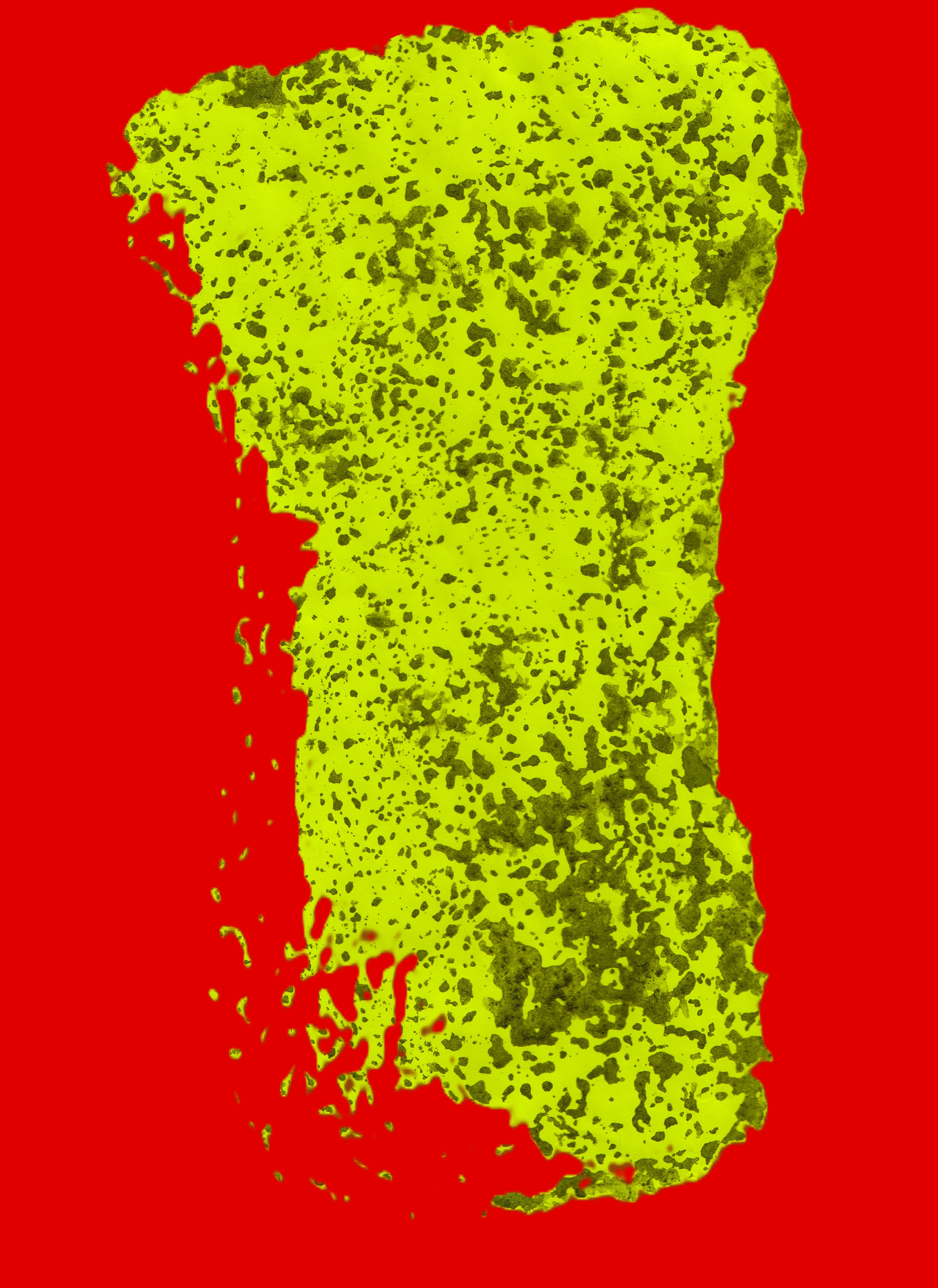 DIGITAL IMAGE Contact for files. Please send me your email for the images.
