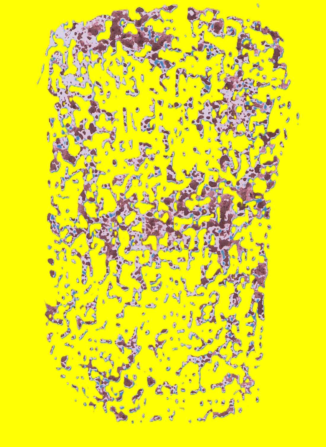 DIGITAL IMAGE Contact for files. Please send me your email for the images.